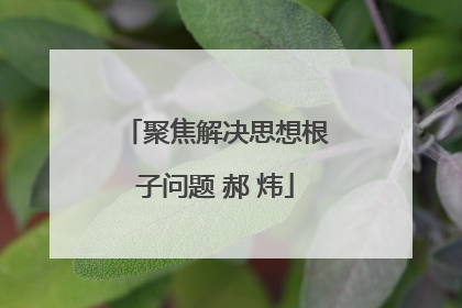 聚焦解决思想根子问题 郝 炜