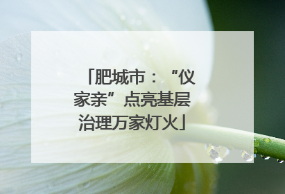 肥城市：“仪家亲”点亮基层治理万家灯火