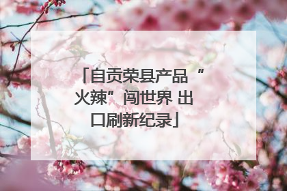 自贡荣县产品“火辣”闯世界 出口刷新纪录