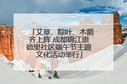 艾草、粽叶、木箭齐上阵 成都锦江崇德里社区端午节主题文化活动举行