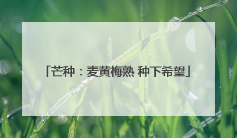 芒种：麦黄梅熟 种下希望
