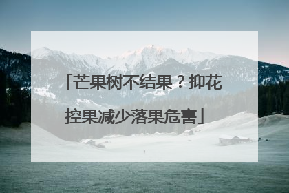 芒果树不结果？抑花控果减少落果危害