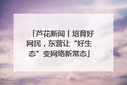 芦花新闻丨培育好网民，东营让“好生态”变网络新常态