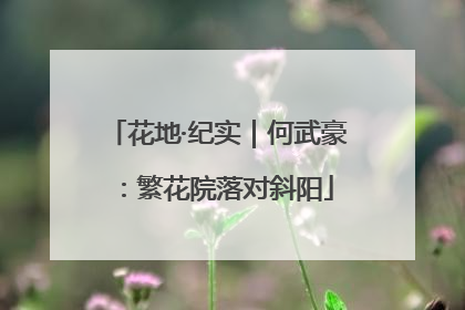 花地·纪实｜何武豪：繁花院落对斜阳