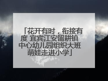 花开有时，衔接有度 宜宾江安留耕镇中心幼儿园组织大班萌娃走进小学