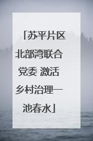 苏平片区北部湾联合党委 激活乡村治理一池春水