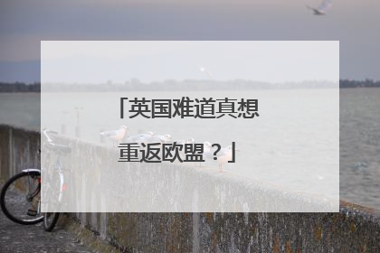 英国难道真想重返欧盟？