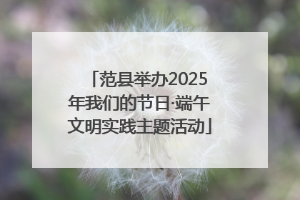 范县举办2025年我们的节日·端午文明实践主题活动