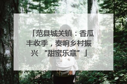 范县城关镇：香瓜丰收季，奏响乡村振兴 “甜蜜乐章”