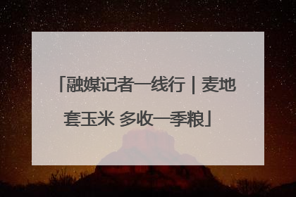 融媒记者一线行｜麦地套玉米 多收一季粮