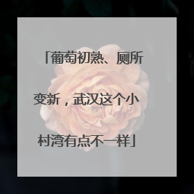 葡萄初熟、厕所变新，武汉这个小村湾有点不一样