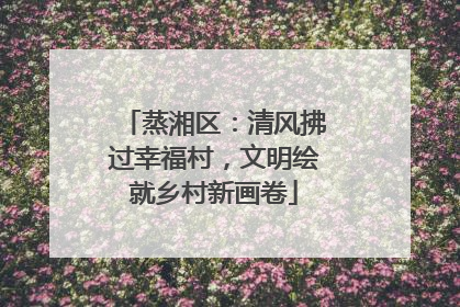 蒸湘区：清风拂过幸福村，文明绘就乡村新画卷