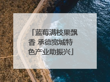 蓝莓满枝果飘香 承德宽城特色产业助振兴