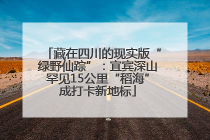 藏在四川的现实版“绿野仙踪”：宜宾深山罕见15公里“稻海”成打卡新地标