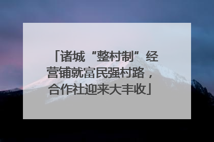 诸城“整村制”经营铺就富民强村路，合作社迎来大丰收