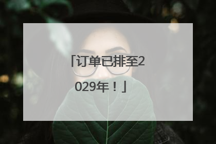 订单已排至2029年！