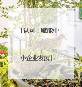 认可：赋能中小企业发展