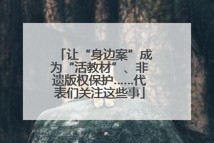 让“身边案”成为“活教材”、非遗版权保护……代表们关注这些事