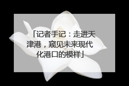 记者手记：走进天津港，窥见未来现代化港口的模样
