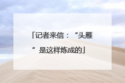 记者来信：“头雁”是这样炼成的
