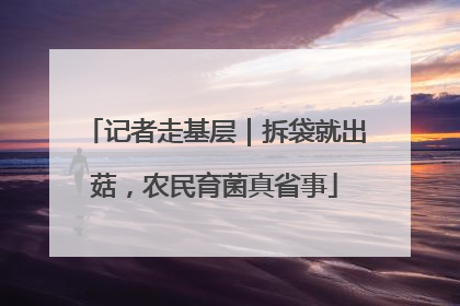 记者走基层｜拆袋就出菇，农民育菌真省事