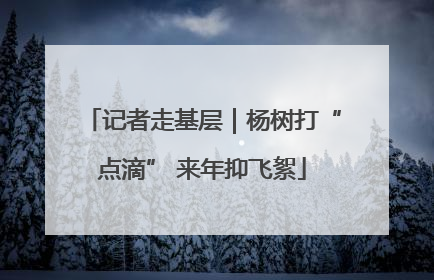 记者走基层｜杨树打“点滴” 来年抑飞絮