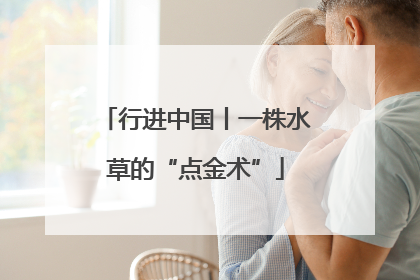 行进中国丨一株水草的“点金术”