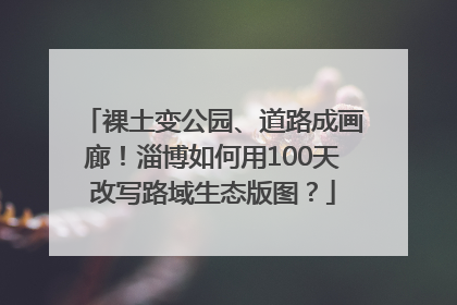 裸土变公园、道路成画廊！淄博如何用100天改写路域生态版图？