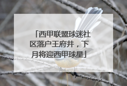 西甲联盟球迷社区落户王府井，下月将迎西甲球星