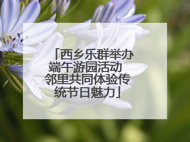 西乡乐群举办端午游园活动 邻里共同体验传统节日魅力