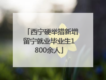 西宁硬举措新增留宁就业毕业生1800余人