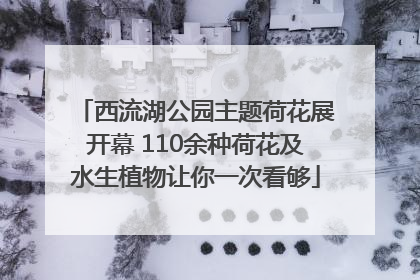 西流湖公园主题荷花展开幕 110余种荷花及水生植物让你一次看够