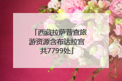 西藏拉萨普查旅游资源含布达拉宫共7799处