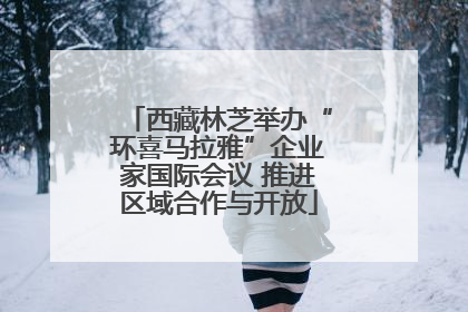 西藏林芝举办“环喜马拉雅”企业家国际会议 推进区域合作与开放