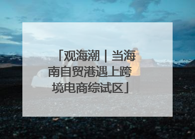 观海潮｜当海南自贸港遇上跨境电商综试区