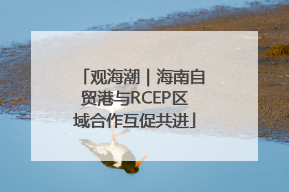 观海潮｜海南自贸港与RCEP区域合作互促共进