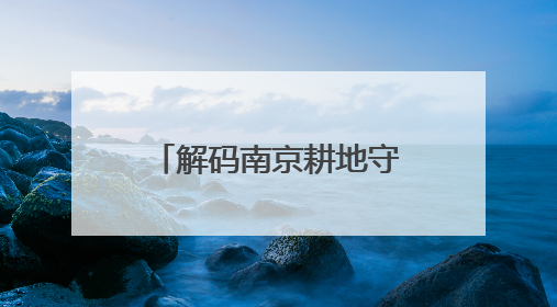 解码南京耕地守护：一码管田有方 沃土搬迁有道