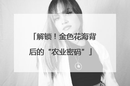 解锁！金色花海背后的“农业密码”