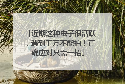 近期这种虫子很活跃，遇到千万不能拍！正确应对只需一招