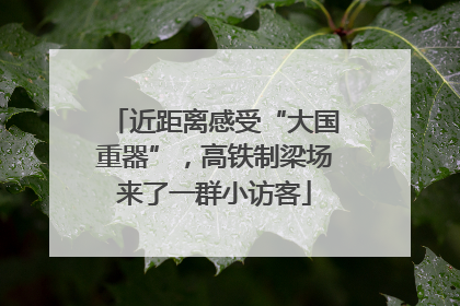 近距离感受“大国重器”，高铁制梁场来了一群小访客