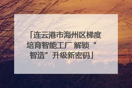 连云港市海州区梯度培育智能工厂 解锁“智造”升级新密码