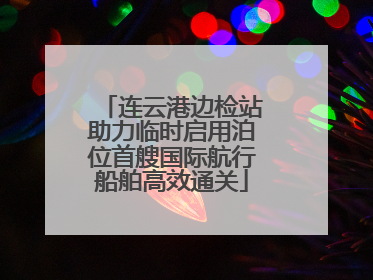 连云港边检站助力临时启用泊位首艘国际航行船舶高效通关