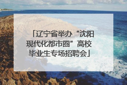 辽宁省举办“沈阳现代化都市圈”高校毕业生专场招聘会
