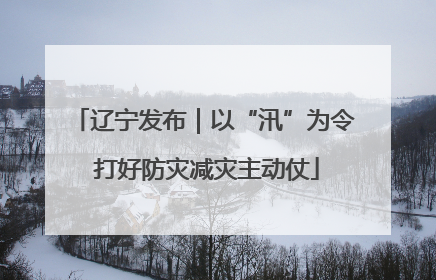 辽宁发布｜以“汛”为令 打好防灾减灾主动仗