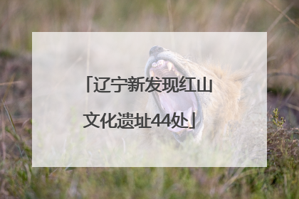 辽宁新发现红山文化遗址44处