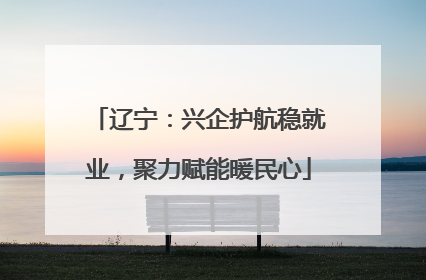 辽宁：兴企护航稳就业，聚力赋能暖民心