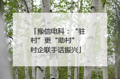 豫信电科：“驻村”更“助村” 村企联手话振兴