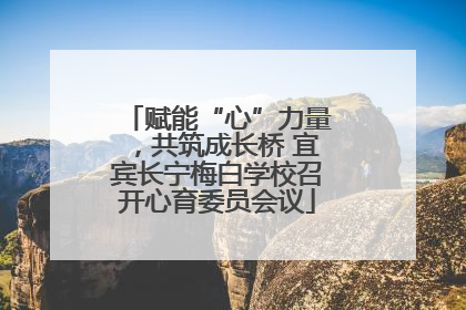 赋能“心”力量，共筑成长桥 宜宾长宁梅白学校召开心育委员会议