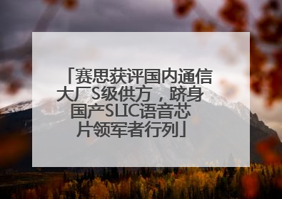 赛思获评国内通信大厂S级供方，跻身国产SLIC语音芯片领军者行列