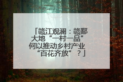 赣江观澜：赣鄱大地“一村一品”何以推动乡村产业“百花齐放”？